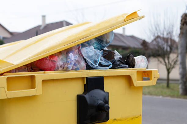 Same-Day Junk Removal Services in Cedar Springs, MI